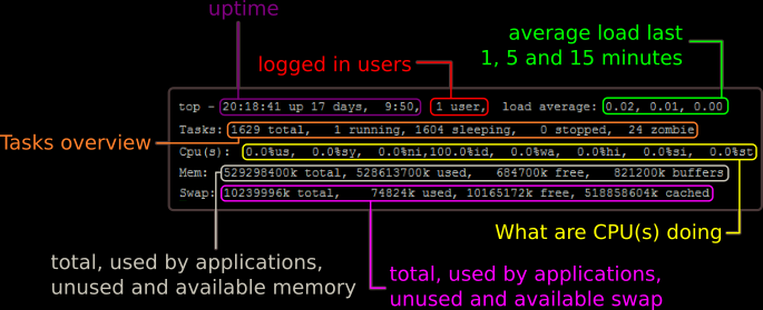 Visually explained the top part of the top Linux tool