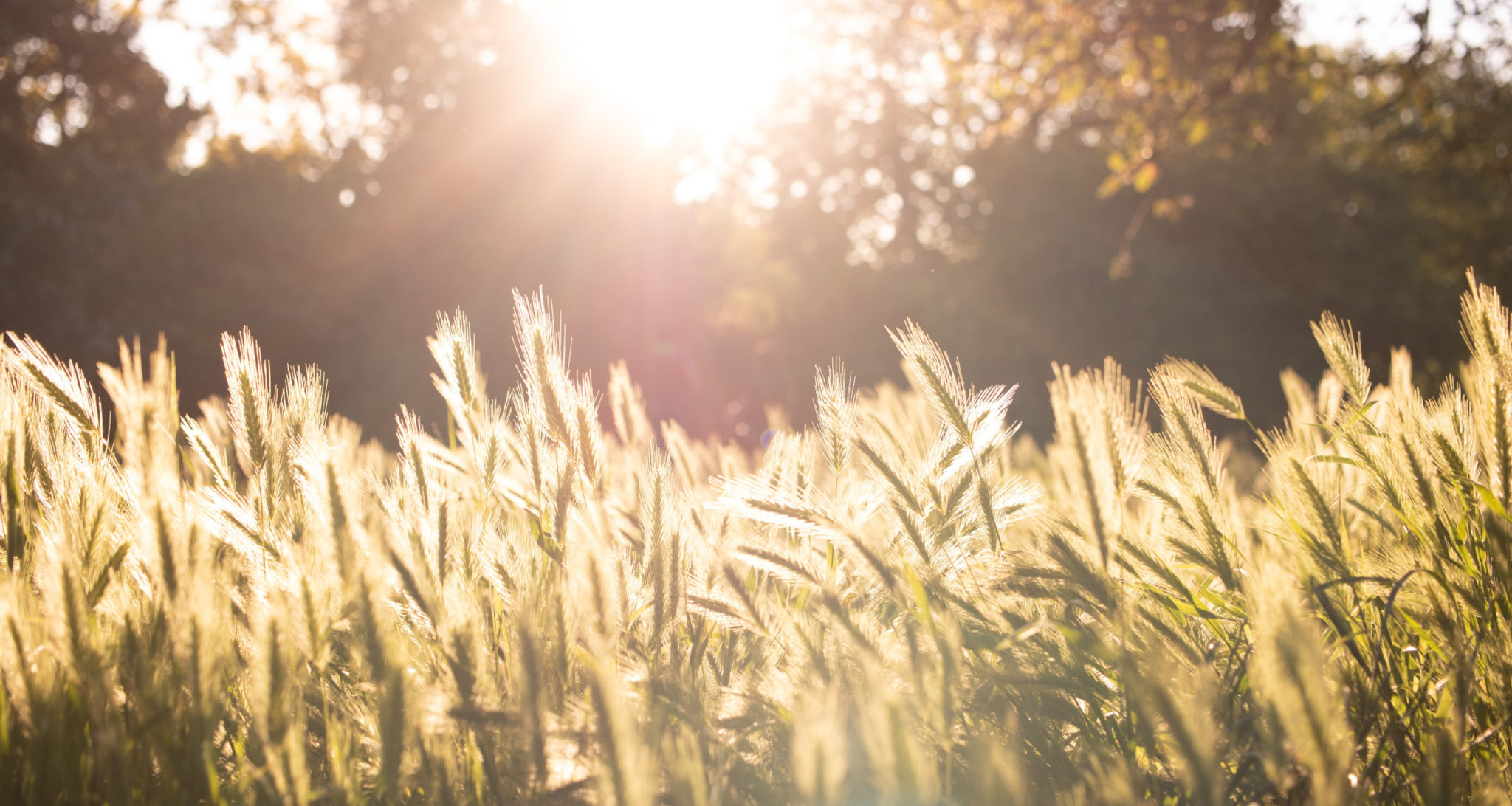 Bareos-sd : could not open FileStorage