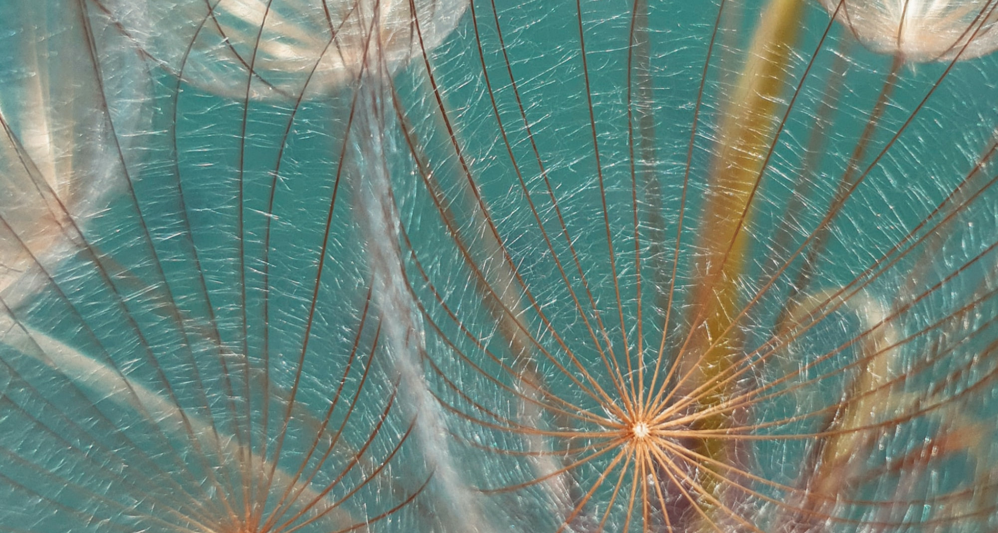 NETGEAR M4300, setup DHCP VLAN